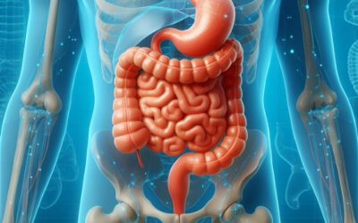 Tratamiento de la esofagitis en Torrelavega: cómo cuidar tu esófago y mejorar tu digestión